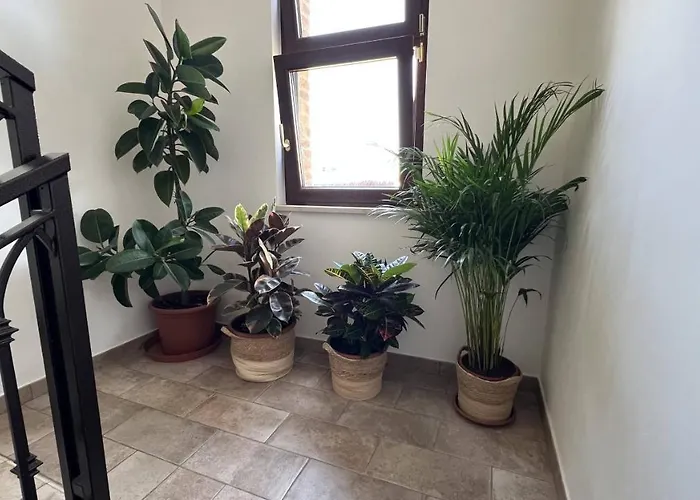 Le Vagabonde Gasthof 4*